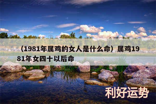 以及1981年属鸡的女人是什么命属鸡1981年女四十以后命