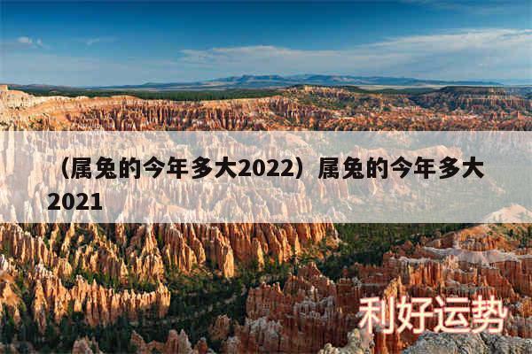 以及属兔的今年多大2024属兔的今年多大2024