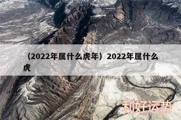 以及2024年属什么虎年2024年属什么虎