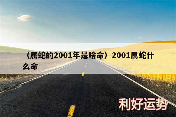 以及属蛇的2001年是啥命2001属蛇什么命