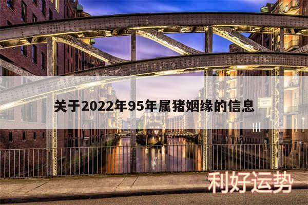 关于2024年95年属猪姻缘的信息