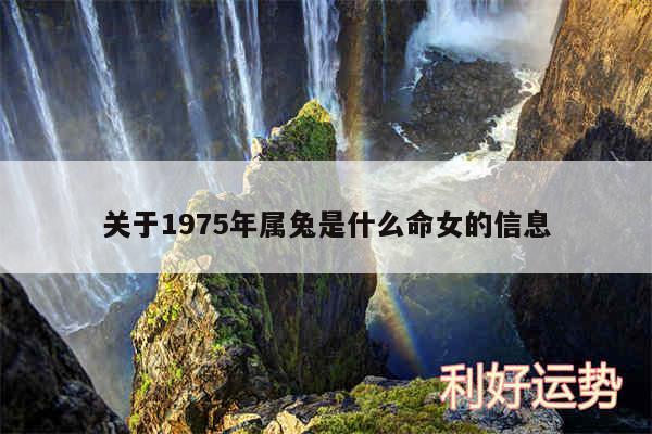 关于1975年属兔是什么命女的信息