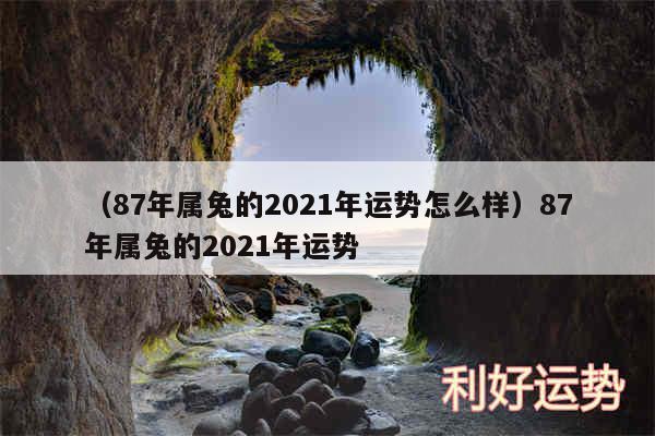 以及87年属兔的2024年运势怎么样87年属兔的2024年运势