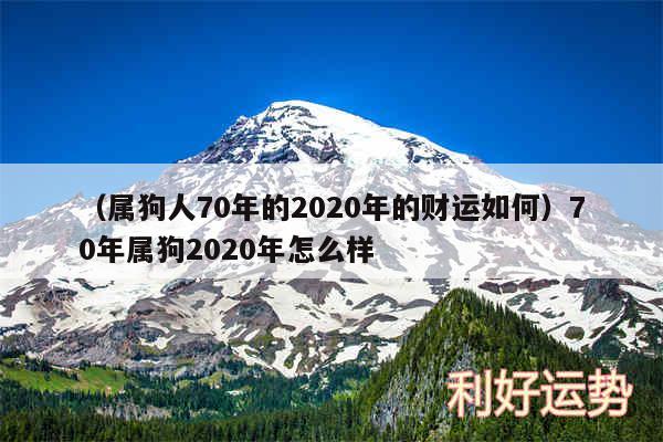 以及属狗人70年的2020年的财运如何70年属狗2020年怎么样