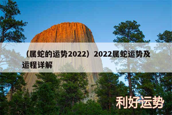 以及属蛇的运势20242024属蛇运势及运程详解