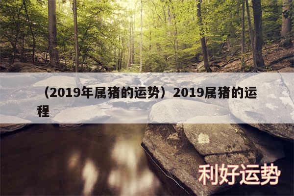 以及2019年属猪的运势2019属猪的运程