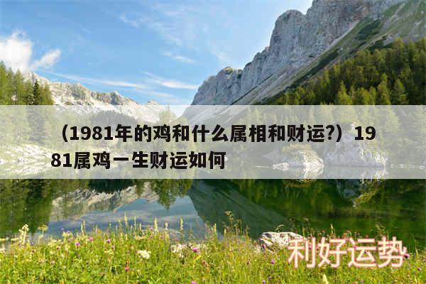 以及1981年的鸡和什么属相和财运?1981属鸡一生财运如何