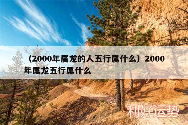 以及2000年属龙的人五行属什么2000年属龙五行属什么