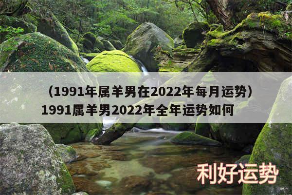 以及1991年属羊男在2024年每月运势1991属羊男2024年全年运势如何