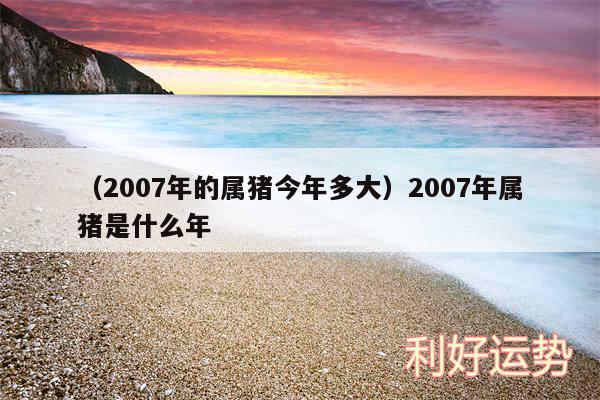 以及2007年的属猪今年多大2007年属猪是什么年