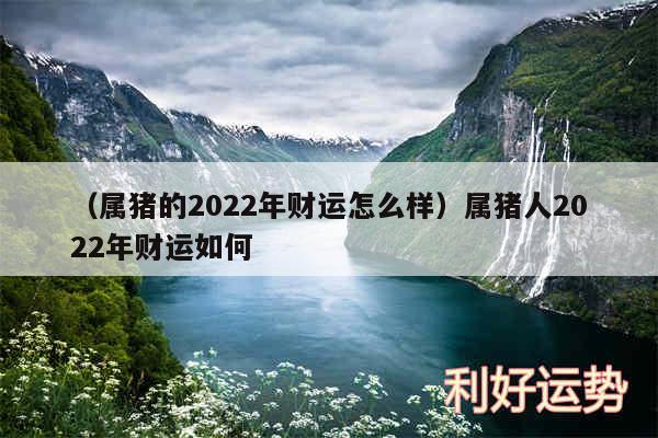 以及属猪的2024年财运怎么样属猪人2024年财运如何