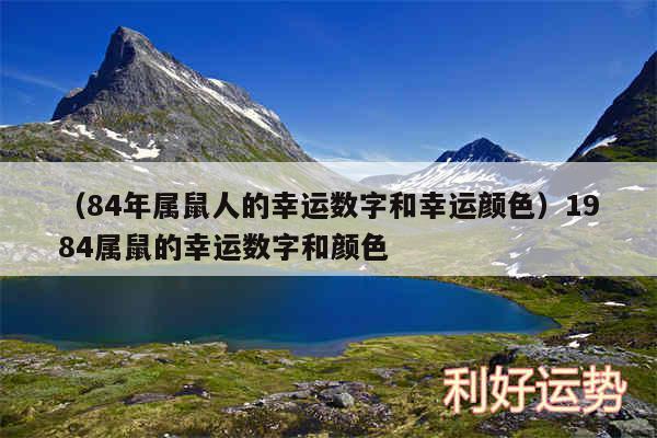 以及84年属鼠人的幸运数字和幸运颜色1984属鼠的幸运数字和颜色