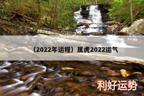 以及2024年运程属虎2024运气