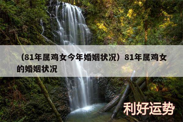 以及81年属鸡女今年婚姻状况81年属鸡女的婚姻状况