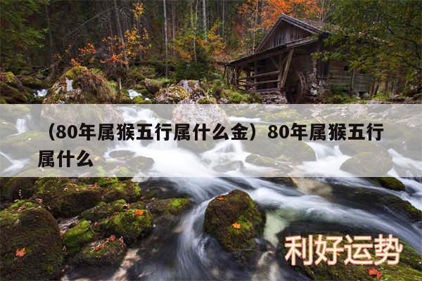 以及80年属猴五行属什么金80年属猴五行属什么