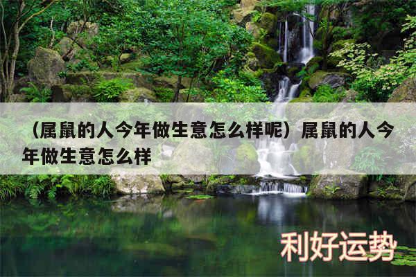 以及属鼠的人今年做生意怎么样呢属鼠的人今年做生意怎么样