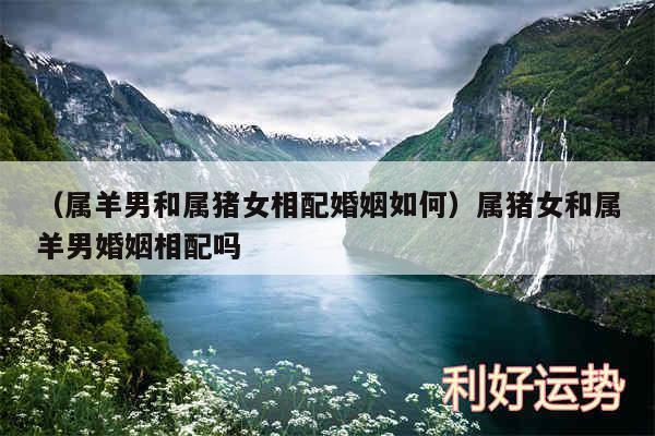 以及属羊男和属猪女相配婚姻如何属猪女和属羊男婚姻相配吗