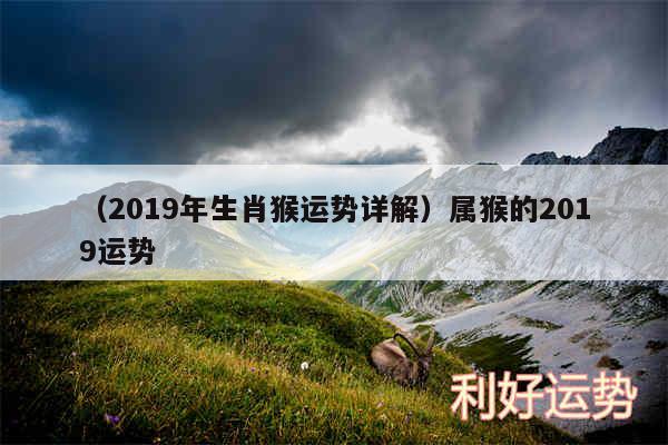 以及2019年生肖猴运势详解属猴的2019运势