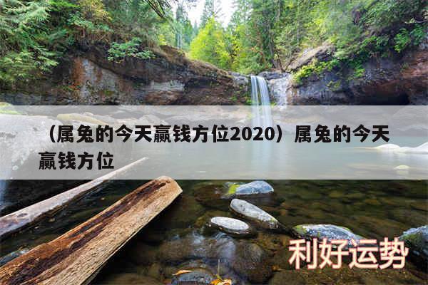 以及属兔的今天赢钱方位2020属兔的今天赢钱方位