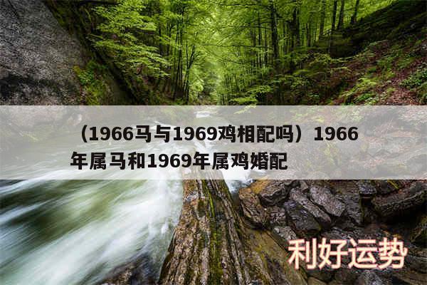 以及1966马与1969鸡相配吗1966年属马和1969年属鸡婚配