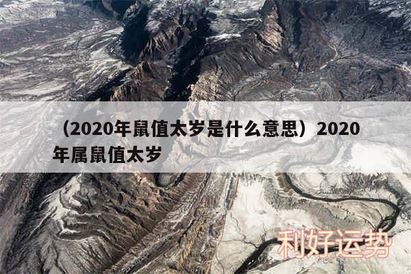 以及2020年鼠值太岁是什么意思2020年属鼠值太岁