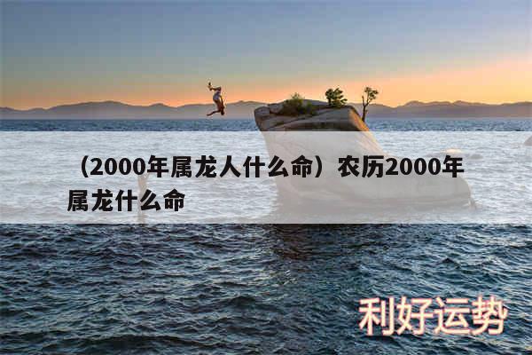 以及2000年属龙人什么命农历2000年属龙什么命