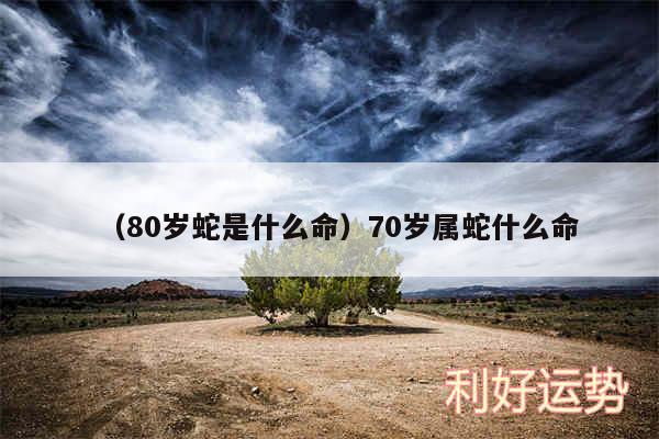 以及80岁蛇是什么命70岁属蛇什么命