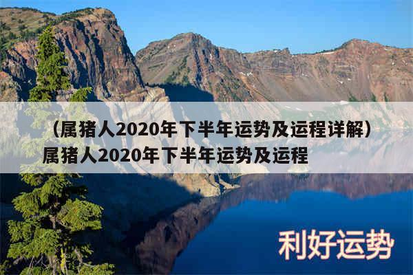 以及属猪人2020年下半年运势及运程详解属猪人2020年下半年运势及运程