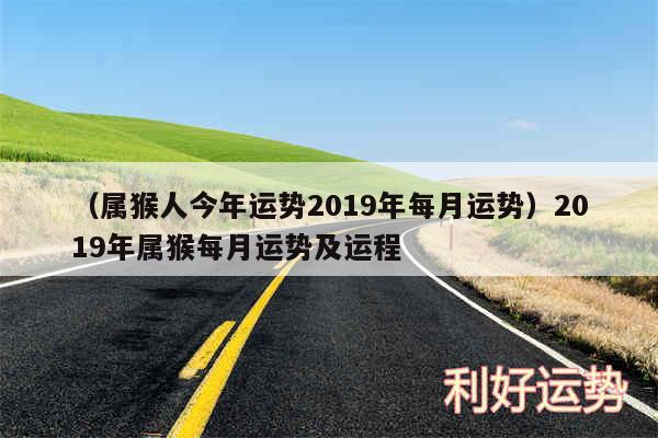 以及属猴人今年运势2019年每月运势2019年属猴每月运势及运程