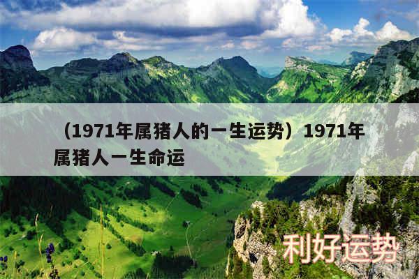 以及1971年属猪人的一生运势1971年属猪人一生命运