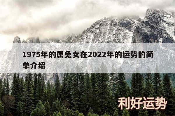 1975年的属兔女在2024年的运势的简单介绍