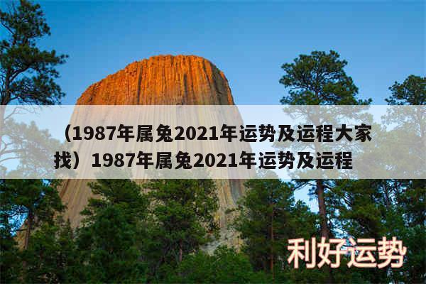 以及1987年属兔2024年运势及运程大家找1987年属兔2024年运势及运程