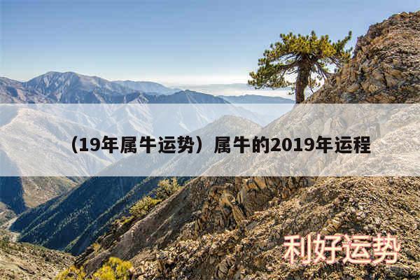 以及19年属牛运势属牛的2019年运程