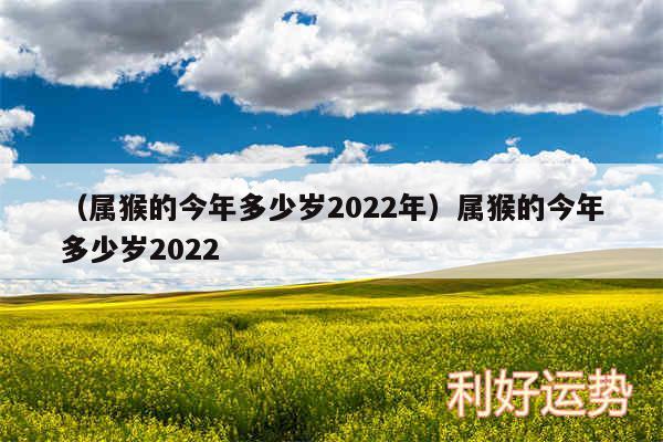 以及属猴的今年多少岁2024年属猴的今年多少岁2024