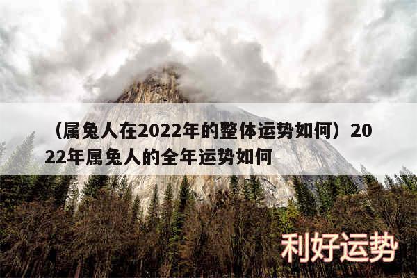 以及属兔人在2024年的整体运势如何2024年属兔人的全年运势如何