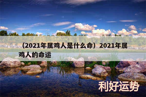 以及2024年属鸡人是什么命2024年属鸡人的命运