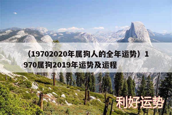 以及19702020年属狗人的全年运势1970属狗2019年运势及运程