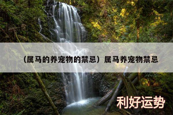 以及属马的养宠物的禁忌属马养宠物禁忌