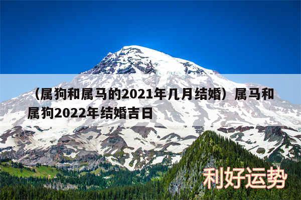 以及属狗和属马的2024年几月结婚属马和属狗2024年结婚吉日