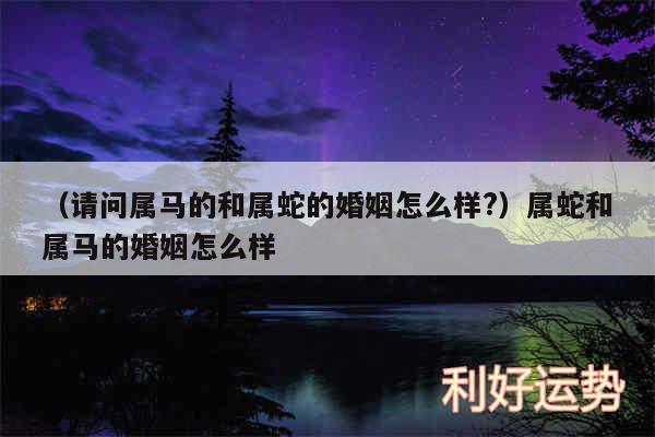 以及请问属马的和属蛇的婚姻怎么样?属蛇和属马的婚姻怎么样