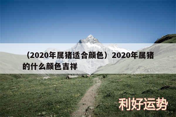 以及2020年属猪适合颜色2020年属猪的什么颜色吉祥