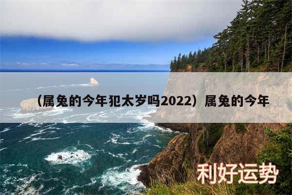 以及属兔的今年犯太岁吗2024属兔的今年