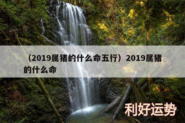 以及2019属猪的什么命五行2019属猪的什么命