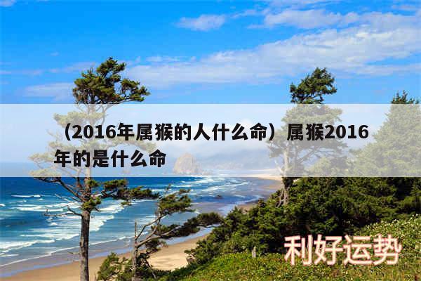 以及2016年属猴的人什么命属猴2016年的是什么命