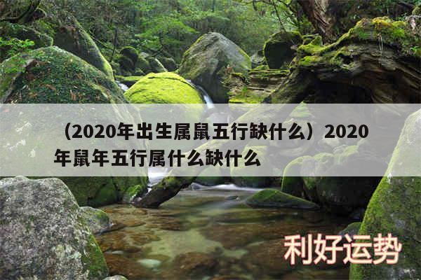 以及2020年出生属鼠五行缺什么2020年鼠年五行属什么缺什么