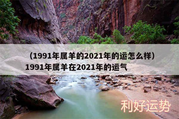 以及1991年属羊的2024年的运怎么样1991年属羊在2024年的运气