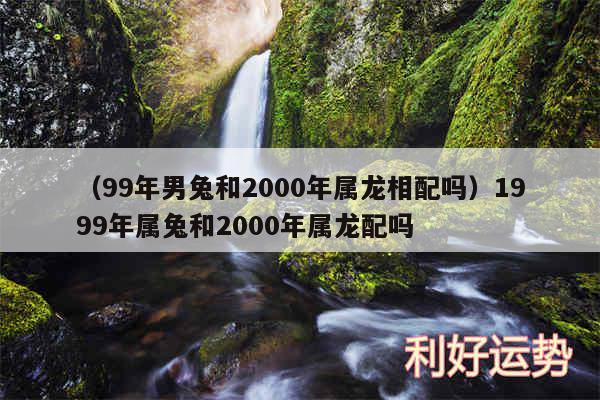 以及99年男兔和2000年属龙相配吗1999年属兔和2000年属龙配吗