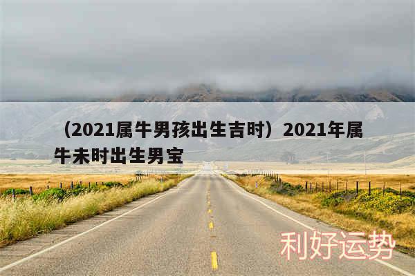 以及2024属牛男孩出生吉时2024年属牛未时出生男宝