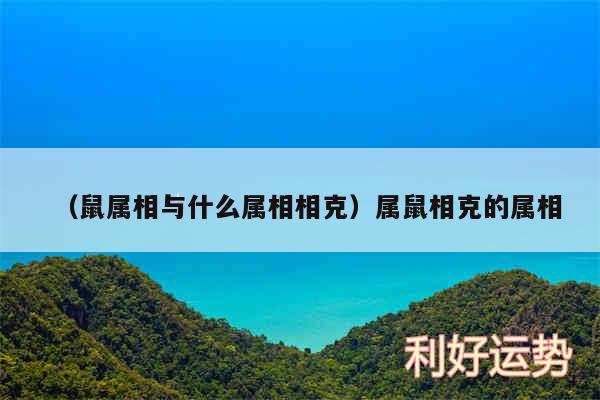 以及鼠属相与什么属相相克属鼠相克的属相