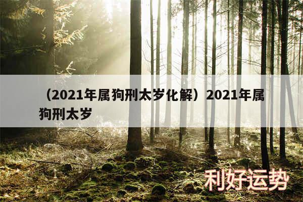 以及2024年属狗刑太岁化解2024年属狗刑太岁